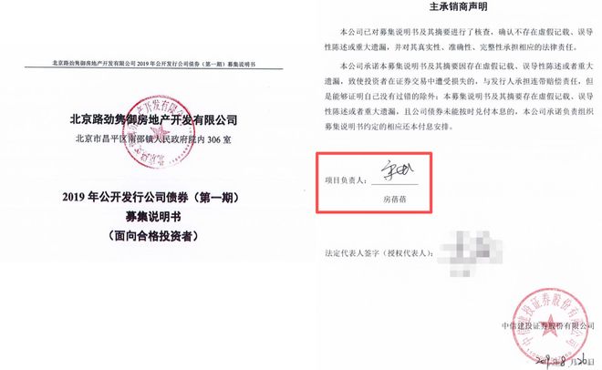 “投行第一美女”判了10年！收取通道费，涉知名房企(5)