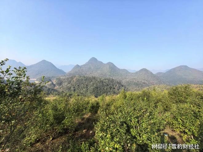 盒马死磕“一滴油”(2)