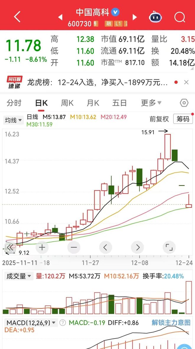 中国高科能否刹车