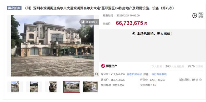 “中科创系”案相关资产拍卖：别墅流拍8次，打三折仍无人报名，两只名表数千万元成交(1)