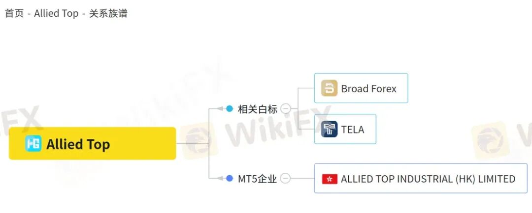 深耕国内的Allied Top平台 各种渠道“全部失联”回应客户出金问题(13)