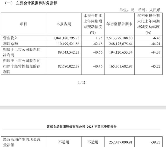 紫燕食品“女婿当家”，内部人减持的老牌卤味如何重拾体面？(6)