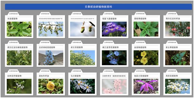 贝泰妮的2026：从中国案例到世界级企业的考验(2)