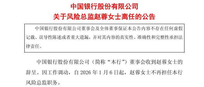 中行老将赵蓉离任风险总监 履新中国信保党委委员(2)