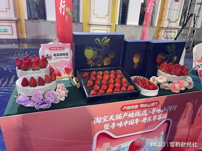 丹东草莓，如何跑通一条农业产业带的电商范式(5)