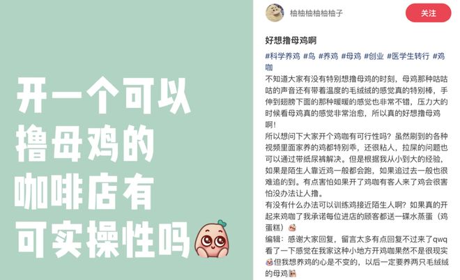 母鸡，咋成了异乡游子的第二个妈？(4)
