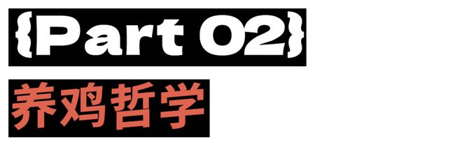 母鸡，咋成了异乡游子的第二个妈？(10)