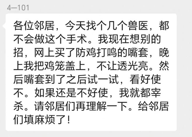 母鸡，咋成了异乡游子的第二个妈？(14)