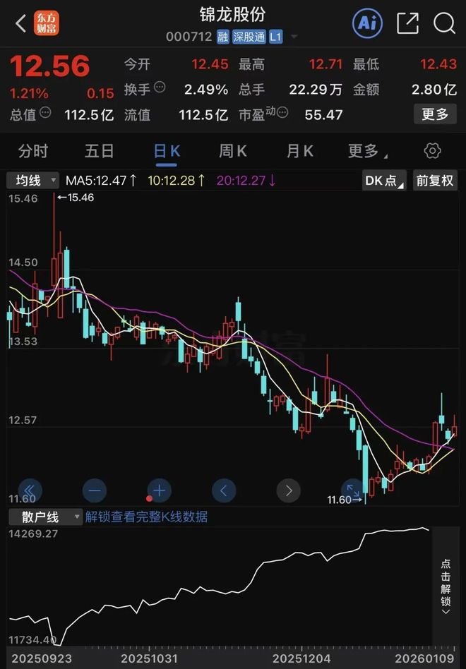 锦龙股份逾90%股份流拍，什么情况？已有“法拍牛散”浮亏(4)