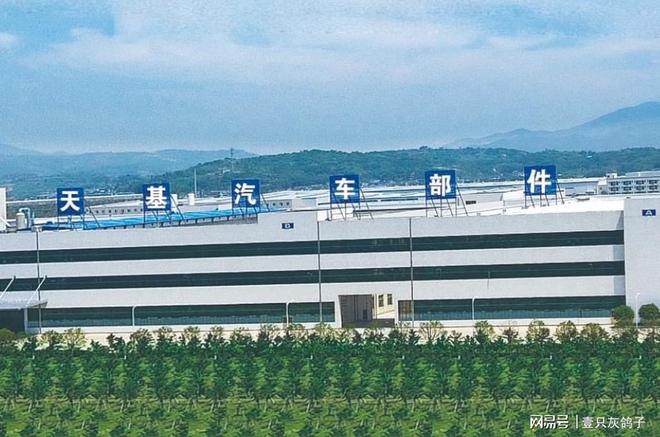儿女拒回国，家族产业无人继承，宁波老板提款9亿赴海外