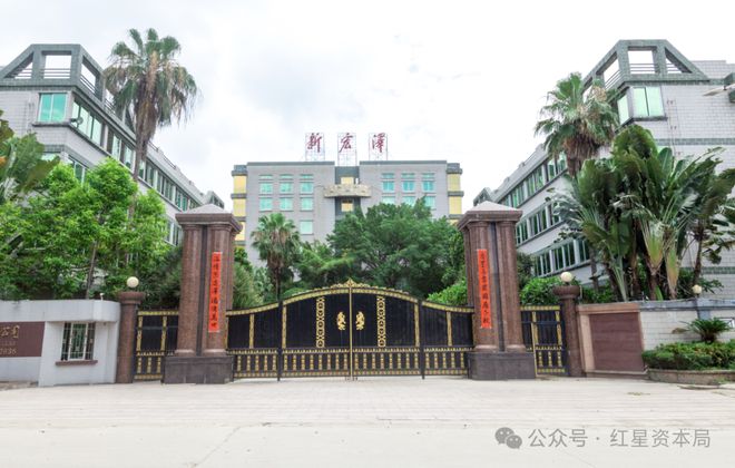 上市公司女副董事长，今年起自愿放弃领薪，2024年薪酬达107万元(2)