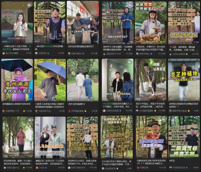 “深山林下灵芝第一品牌”，什么来路？有哪些疑点？(7)