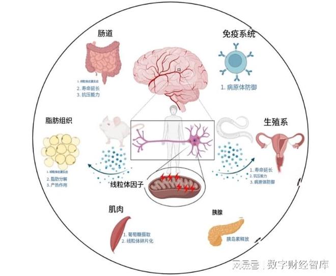 中成药被逼上“绝路”？5.7万中成药超70%将淘汰，专家：不是坏事(3)