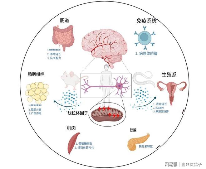 13年烧50亿为续命！车王舒马赫苏醒，外媒却称：妻子在转移财产？(3)