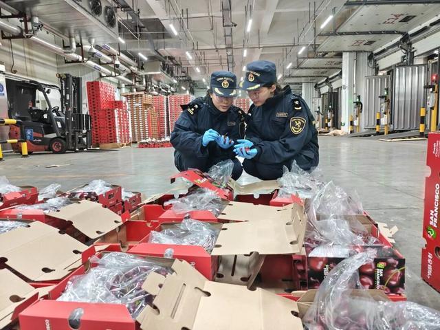 价格大跌！广州正大量上市，商家：还能降