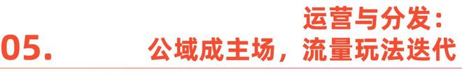 2026短剧出海：淘汰赛加速，谁主沉浮？(10)
