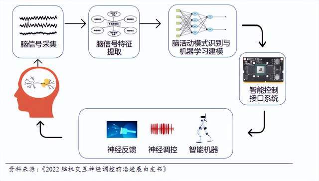 脑机接口 卖铲人 崛起！国产替代 + 量产能力将决定谁能登顶！(2)