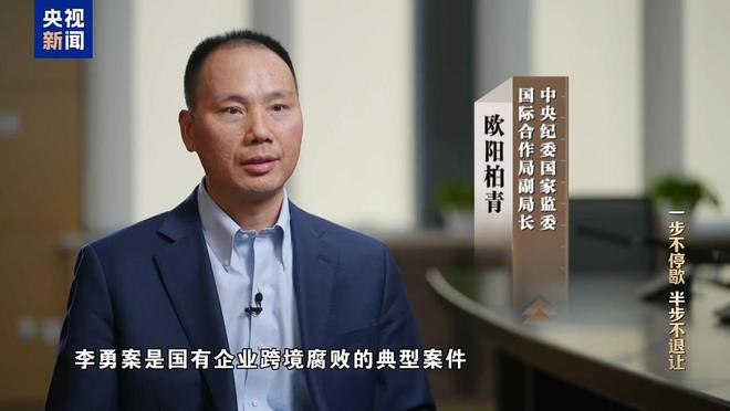 赃款超83%来自境外，不法商人充当李勇“白手套”(2)