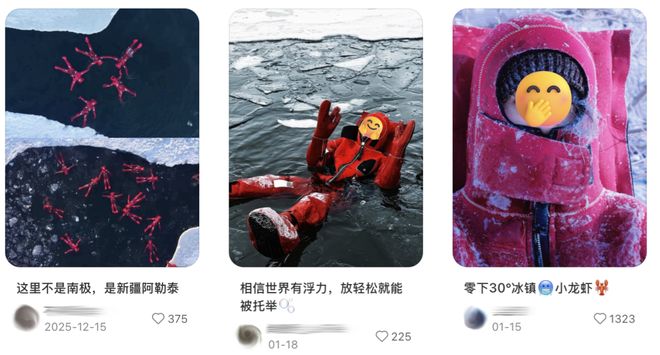 中产体验北欧同款运动给北京大爷逗笑了？“零下8度穿成小龙虾在亮马河上飘”(12)