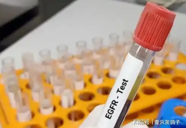 把没病说成有病，帮美国药企收割中国老百姓，高知姐弟迎来大清算(4)