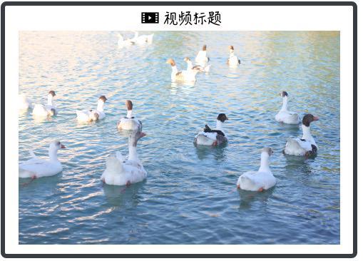 “新美联储通讯社”：鲍威尔意外成为“民间英雄”，今年票委力挺(1)