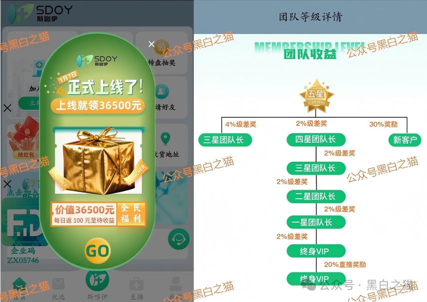 资金盘｜诈骗园区伪冒国内“斯哆伊”，拉团队搞欺诈，请保护好钱袋子......(6)
