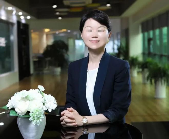 80后“最美女老板”，干成充电桩之王！但被地产商坑惨了(4)