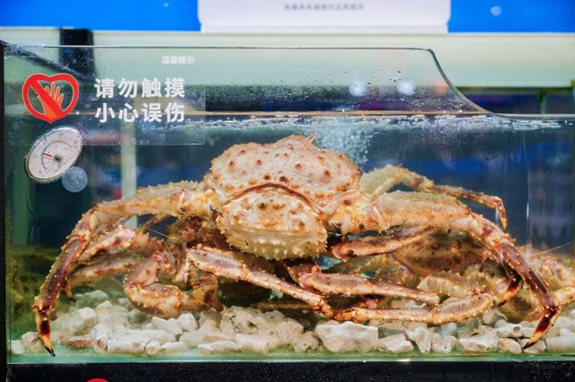定义“新年味”：永辉超市以品质商品力，刷新2026春节家宴清单(6)