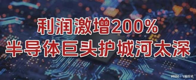 利润激增200%，半导体巨头，护城河太深！(1)