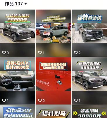 福特渠道整合4个月，仍有门店未获“另一个福特”授权，回应称已建立分级授权机制(4)