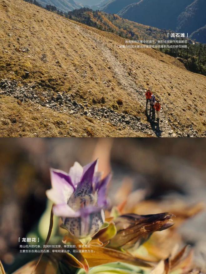 走进真实山野后，中国户外市场最缺的是什么？(6)