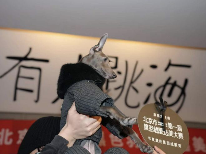 北漂专为「黑色羽绒服」办了场选美大赛，这169元有9个兜的牛马市服艳压始祖鸟？(6)