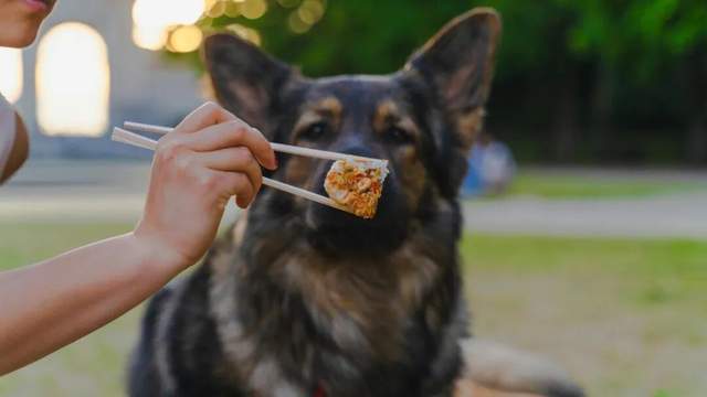 给“毛孩子”吃好点，为什么难成好生意？(4)