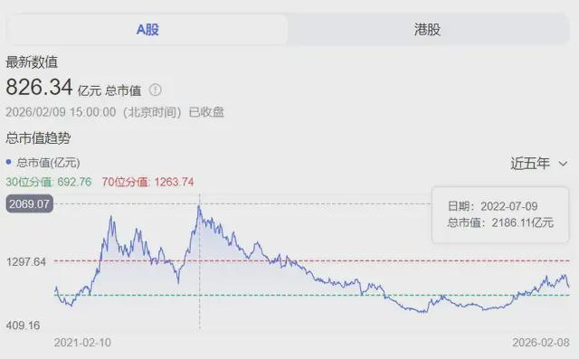五年市值缩水千亿，“中国锂王”又丢了全球最大锂盐湖控制权(5)
