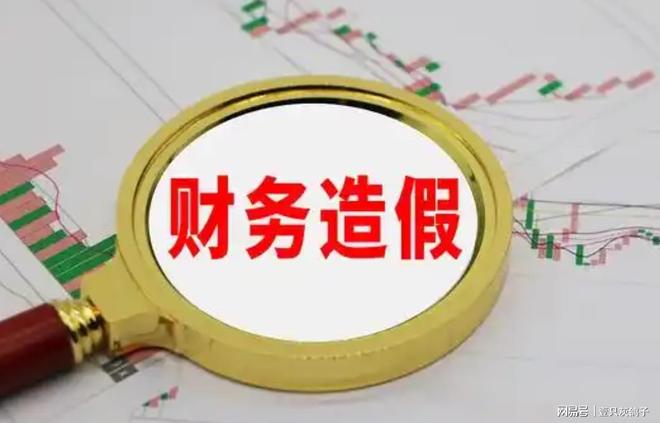 换个马甲也没逃过！假冒外国政要的山东老板，第二次走到破产边缘(2)