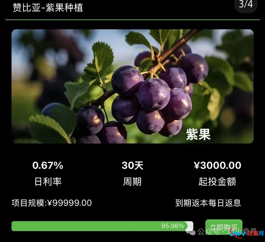 警惕“云种树”新变种！“华洋绿投”借赞比亚、东南亚果园噱头，专骗中老年养老钱(2)