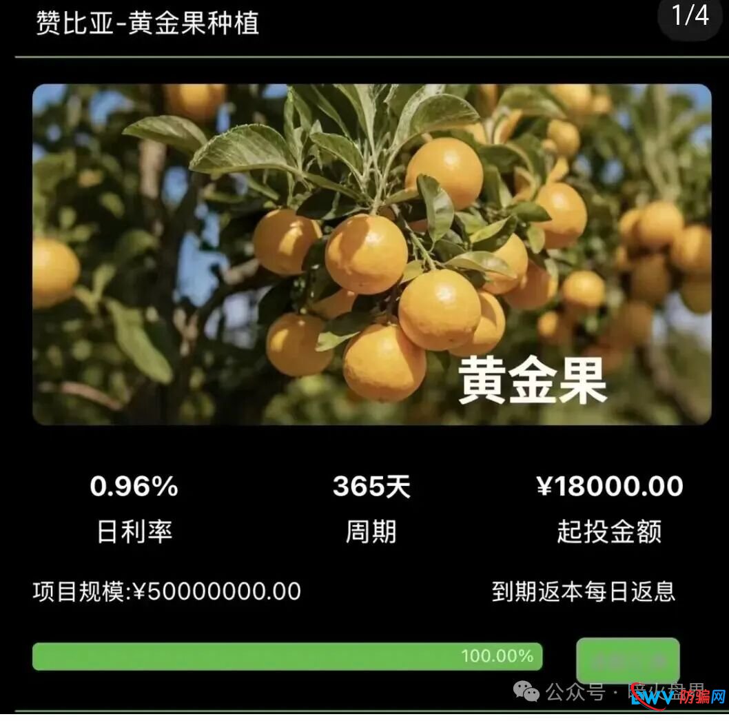 警惕“云种树”新变种！“华洋绿投”借赞比亚、东南亚果园噱头，专骗中老年养老钱(4)
