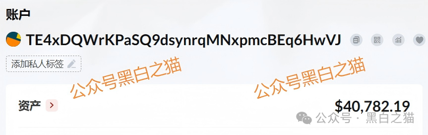 起底“荣晖资本”套牌盘：域名、客服、支付通道全造假，提现永远“系统维护”(11)