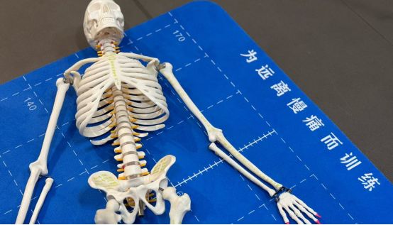 县城的普拉提，和它的女人们(2)