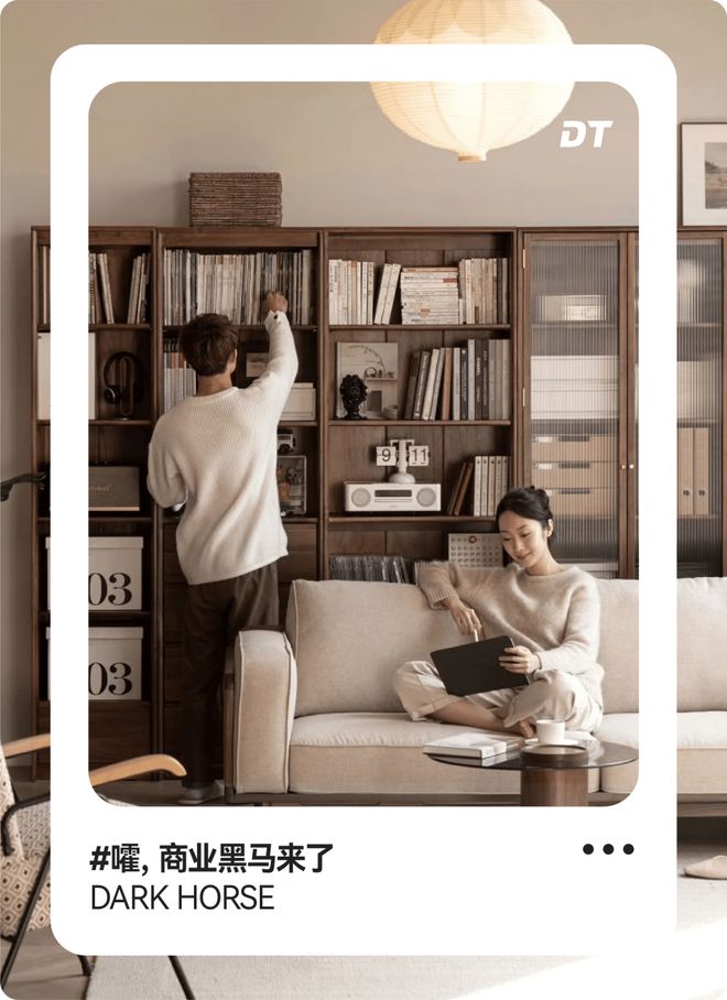 宜家“贵替”，逆袭成行业第一(1)