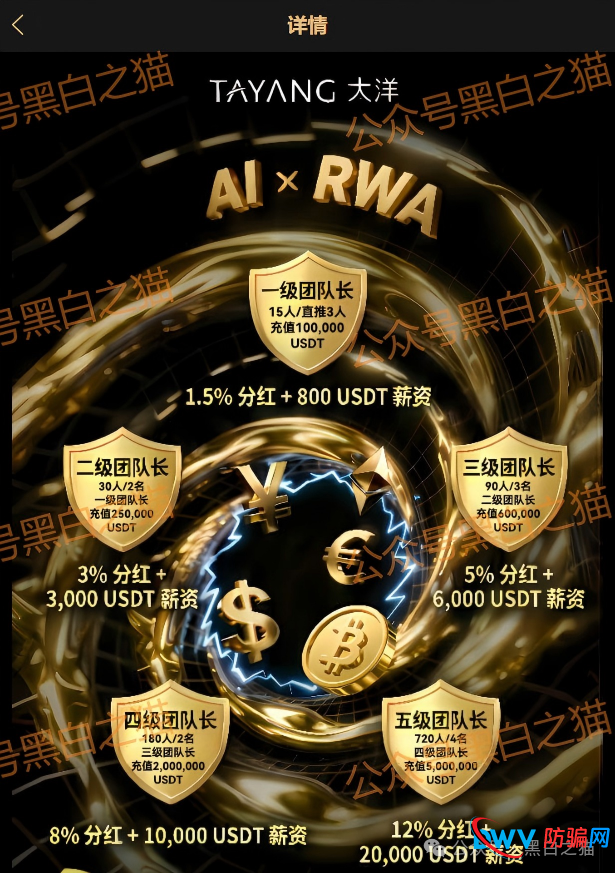 资金盘｜套牌“大洋”做非法项目，漏洞百出陷阱多，随时崩盘请远离......(5)