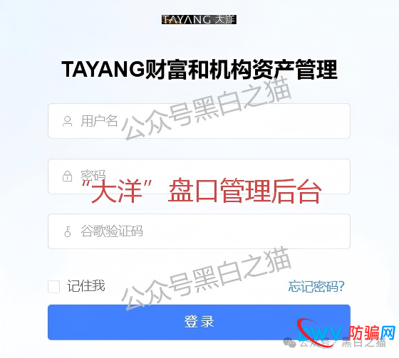资金盘｜套牌“大洋”做非法项目，漏洞百出陷阱多，随时崩盘请远离......(11)