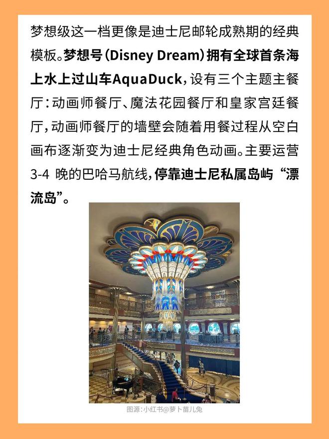 离了迪士尼谁还把我当小孩(7)