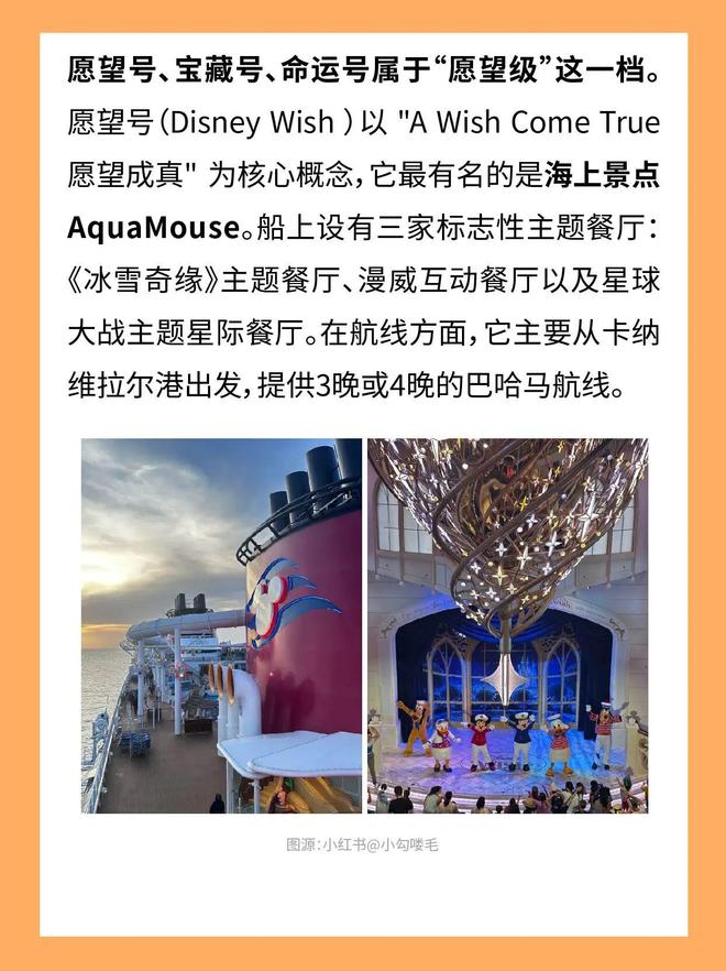 离了迪士尼谁还把我当小孩(4)