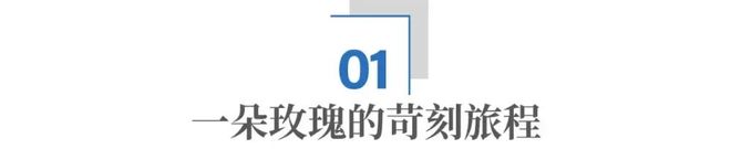 这杯玫瑰咖啡，喝的是“供应链真实力”(3)