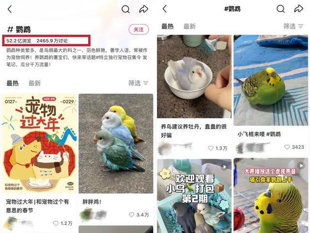 女孩们捧红的“鸟鸟教”，催熟百亿新市场(1)