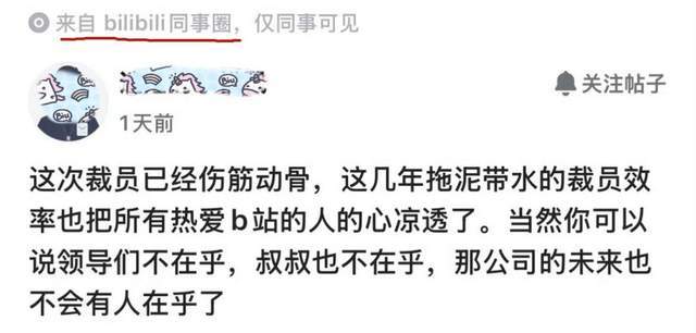曝大裁员、输跨国官司！B站肿么了?(3)