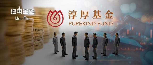 邢媛遭免职！“美女二股东”怒告淳厚基金(1)
