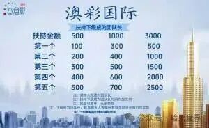 深度曝光：“澳彩国际”黑彩内幕！起底“财负导师”王景成如何收割上千人，平台即将全线崩盘(6)