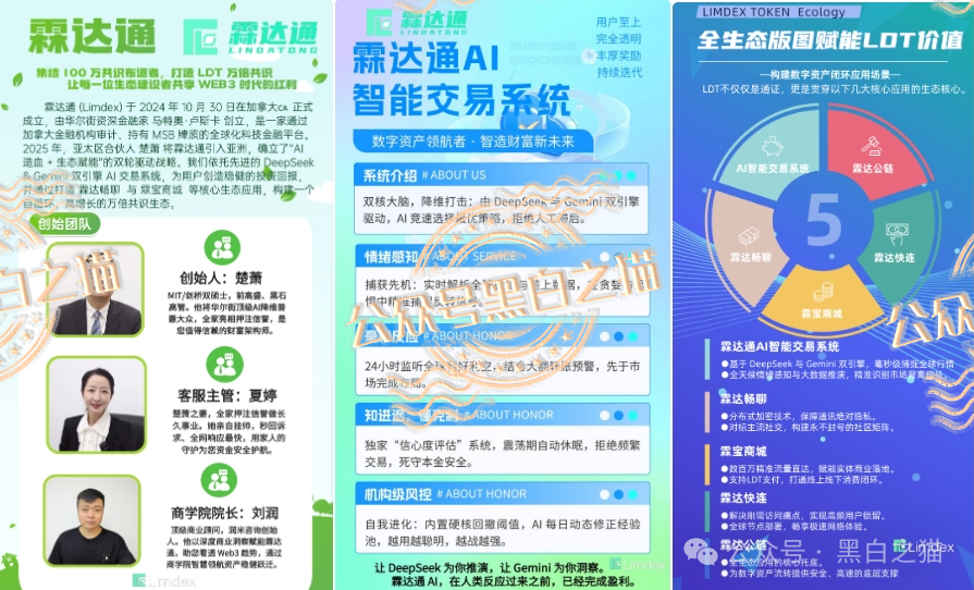 “霖达通”（limdex）骗局挖出大瓜，还原蛛丝马迹，给报案人一点希望......(6)